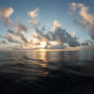 IMG_5459