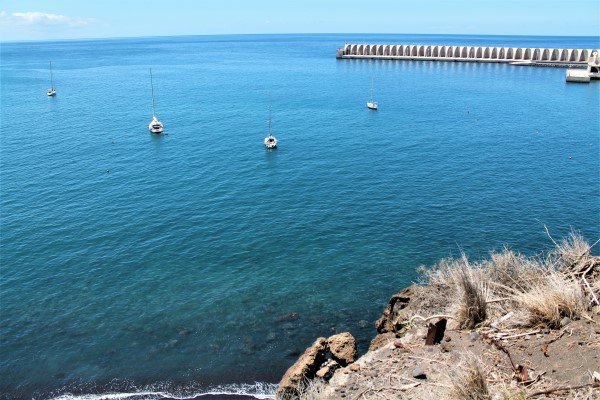 sidrane-jadrnice
